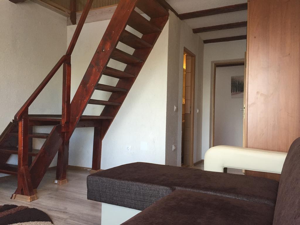 Pensiunea Roka Ranca Room photo