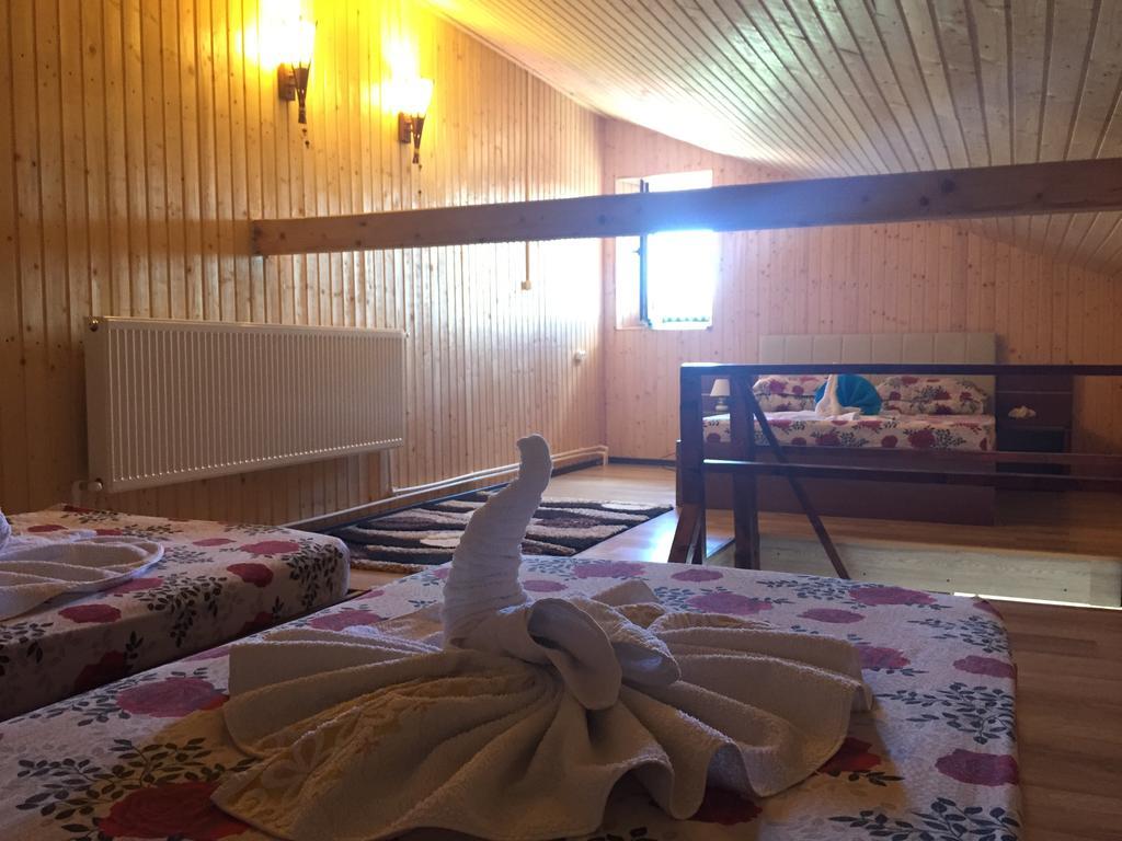 Pensiunea Roka Ranca Room photo